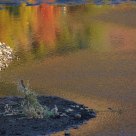 Reflection of Fall Colors