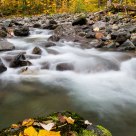 Fall Stream