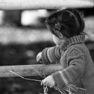 Little farmer