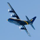 Fat Albert