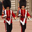Guards