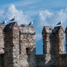 Seagulls resting on Sirmione Castle tower while clouds are forming around the lake