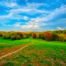 Fall at Seneka Park