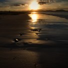 Famara