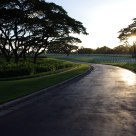 Sunset in cemetery