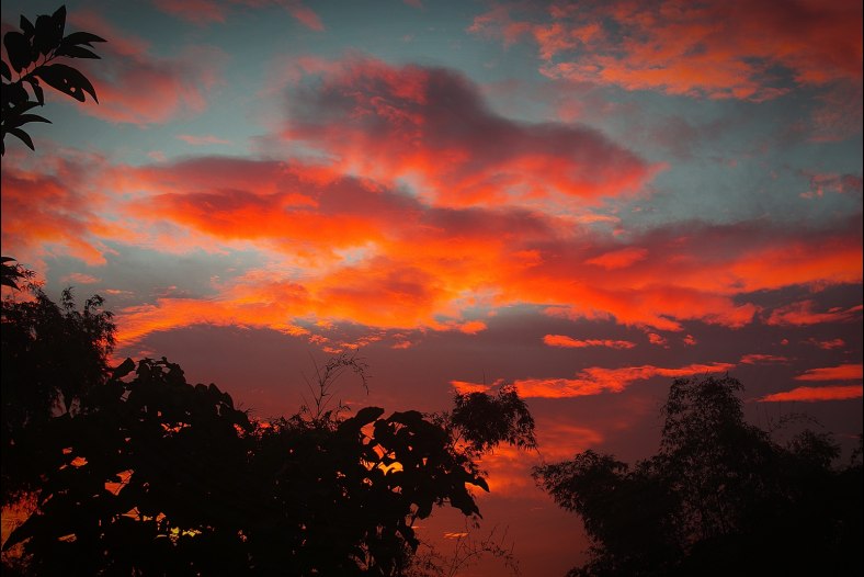 Burning Skies