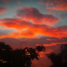 Burning Skies