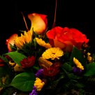 Flowers at Night