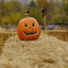 Halloween Pumpkin
