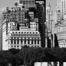 ny in bw