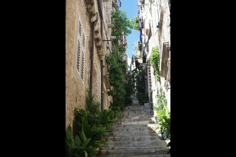 Ruelle 