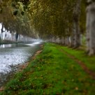 Near the canal