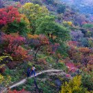 Hiking in Autumn