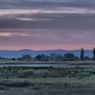 evening atmosphere