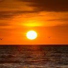 Good Night, Frankston!
