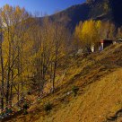Beautiful autumn