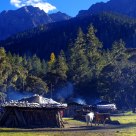 Village in morningtide