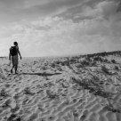 In the Desert...