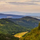 Noctum