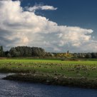 Danube Riverbank
