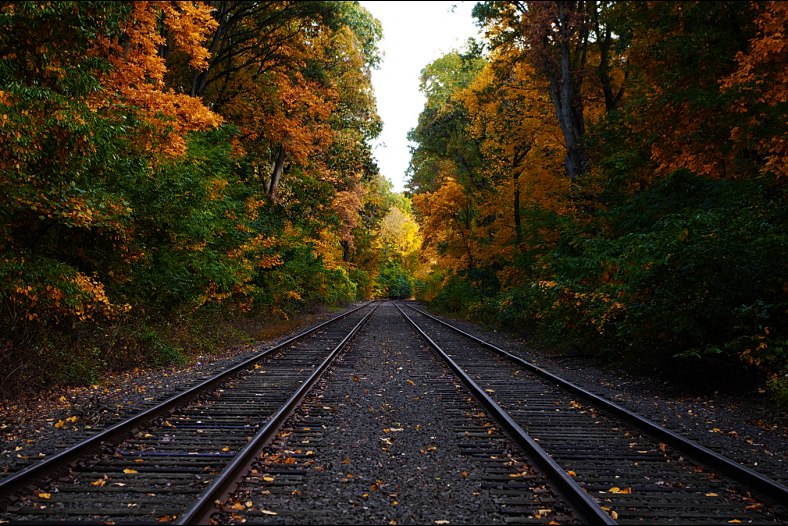 Autumn Leaves & Railway tracks