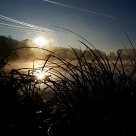 Early Morning