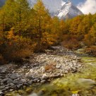 Stream