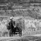 Autumn farmer