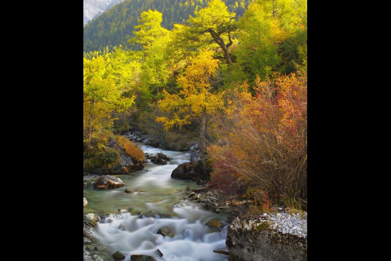 Stream
