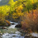 Stream