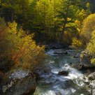 Stream