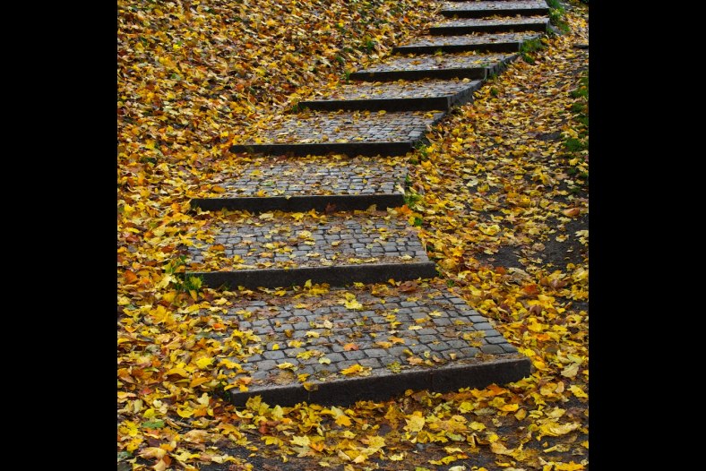 The Steps