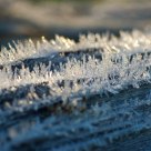 frost