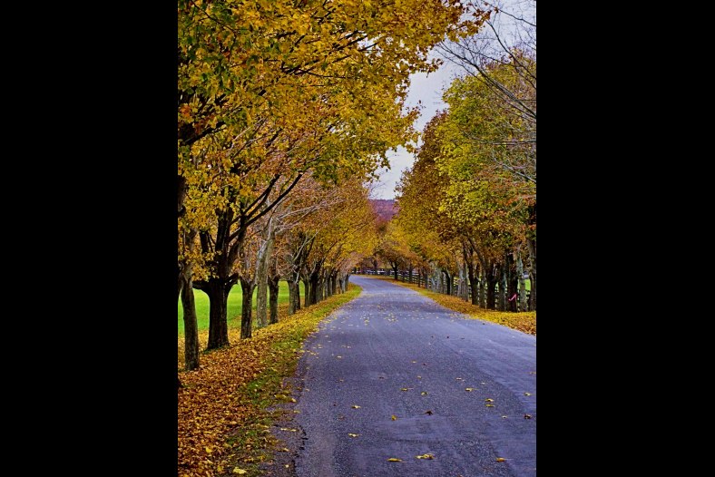 Archbridge Rd. in Autumn