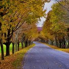 Archbridge Rd. in Autumn