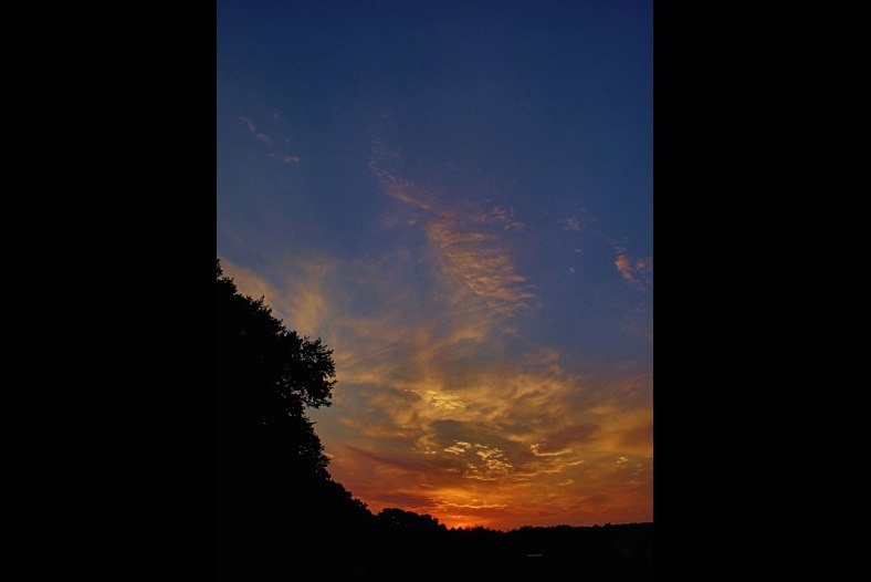 Final Rays of the Day's Sun