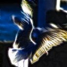 Fractalius: Xray