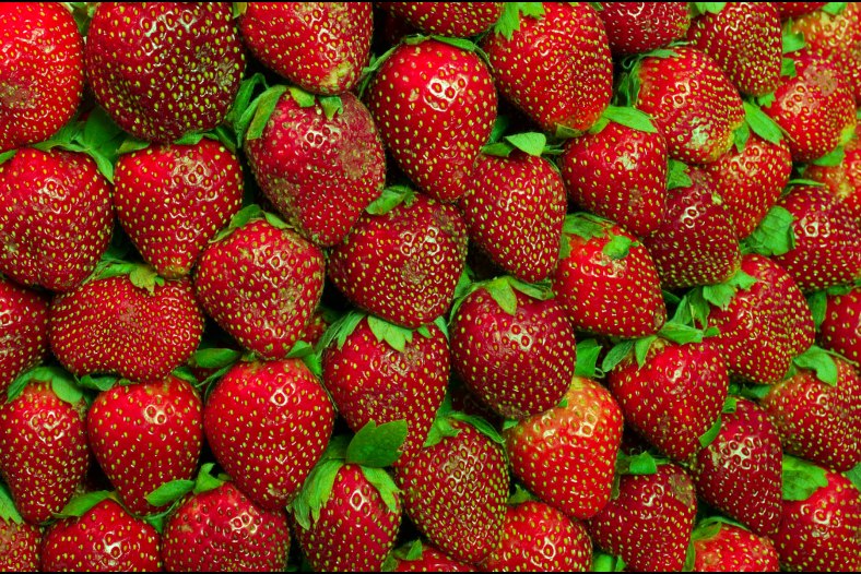 Baguio Strawberry