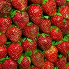 Baguio Strawberry