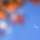 Autumn moon