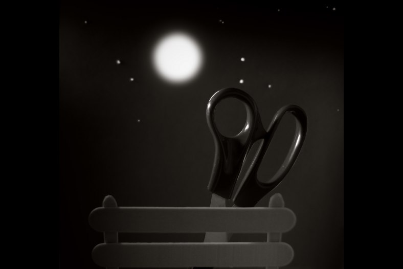 petó a la llum de la lluna // kiss in the moonlight