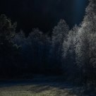  Frost, early morning