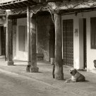 Street