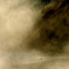 Dans la Brume