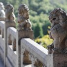 Lion on bridge