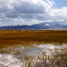 the qinghai lake