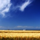 the qinghai lake