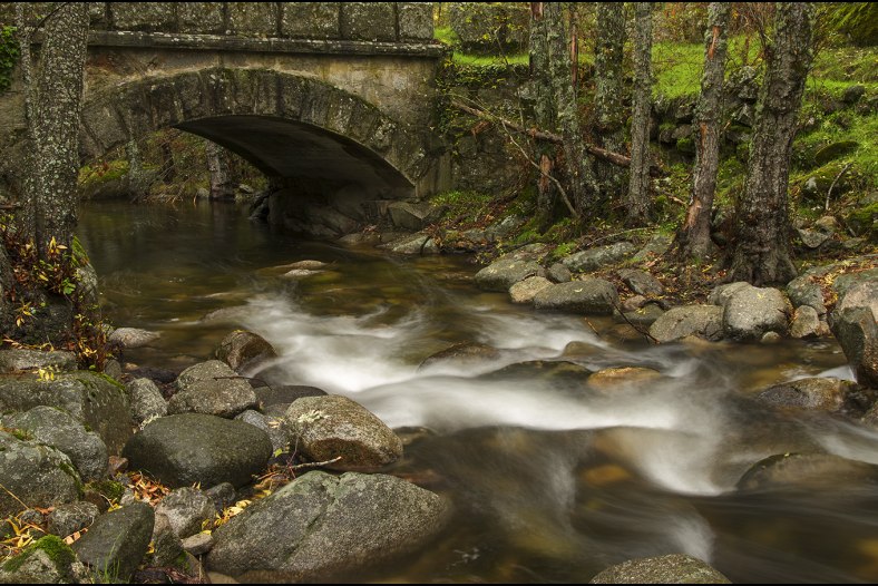 Bridge
