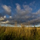 Autumn's sky