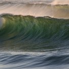 The Savage Sea